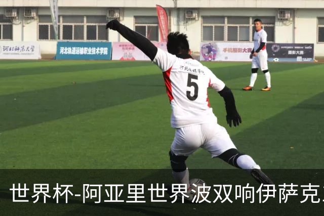 世界杯-阿亚里世界波双响伊萨克1射2传 瑞典5-1突尼斯